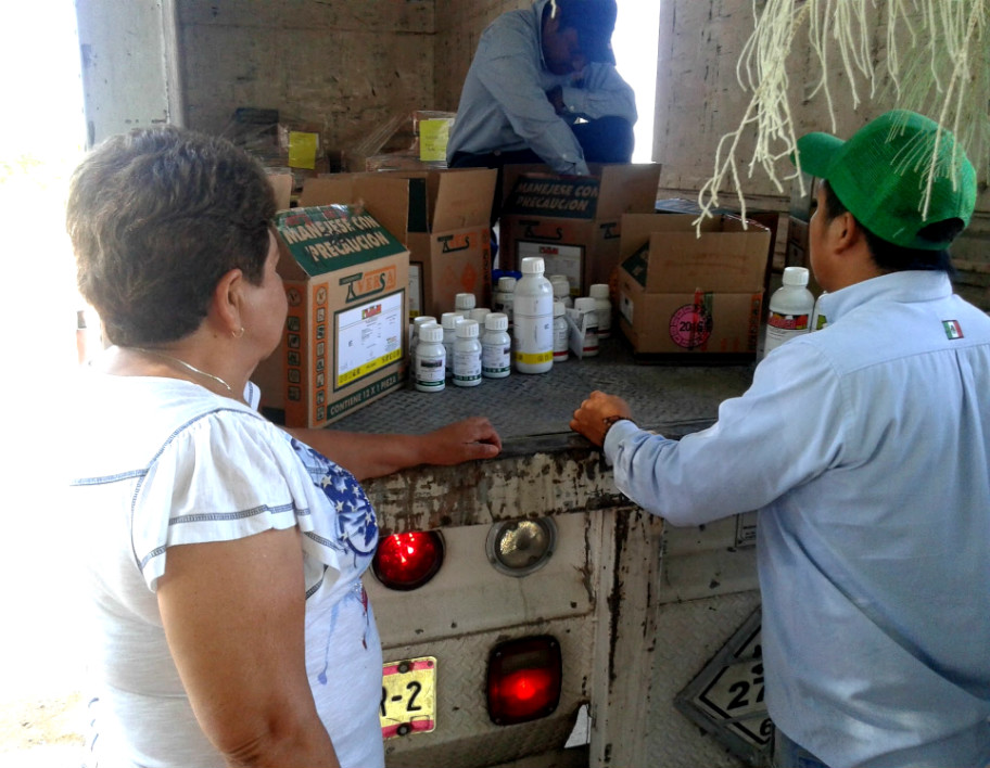 Sagarpa entregó insecticidas a productores de maíz forrajero en Matamoros, para combatir plaga de gusano cogollero.