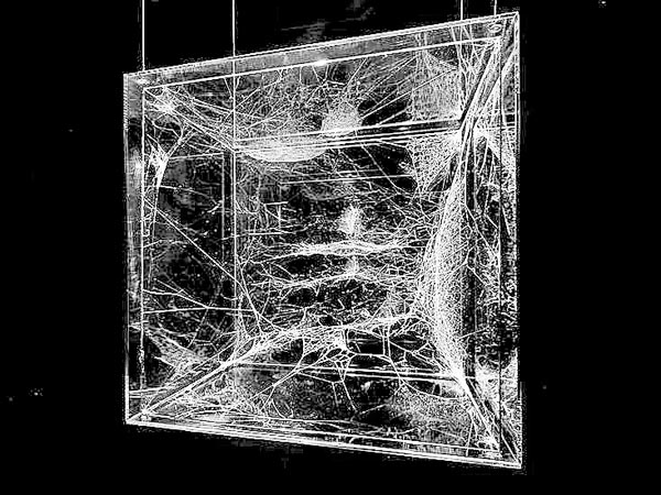 “Arquitectura del cuerpo, de la mente...”