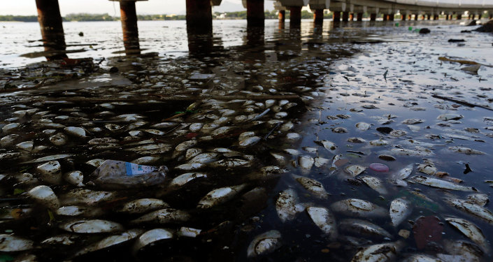 Bahía de Guanabara en Brasil