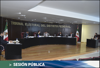Los magistrados del Tribunal Electoral capitalino observaron que el Instituto Nacional Electoral (INE) debió hacer cumplir la normatividad en materia 