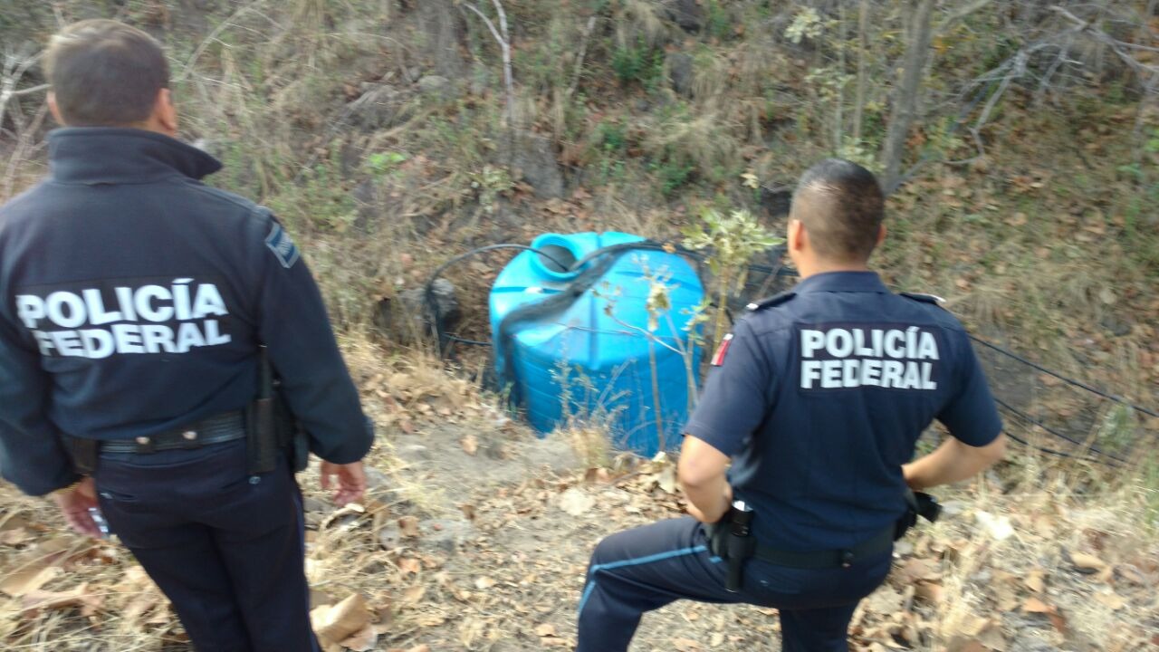 Todo lo asegurado fue puesto a disposición del Ministerio Público federal con sede en Guadalajara.