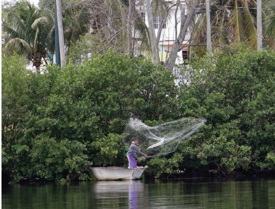 La pesca furtiva, así como la depredación por especies invasoras han disminuido la cantidad de peces.