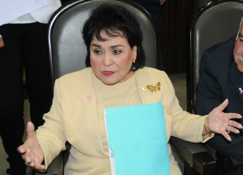 La actriz prometió que legislaría en favor de los artistas, pero en los dos primeros periodos de esta legislatura la priista no ha presentado ninguna 