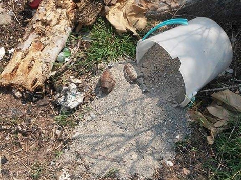 En el piso, cerca de una zona de matorrales, se encontraba una cubeta color blanco con tierra y encima estaban las dos granadas de fragmentación.