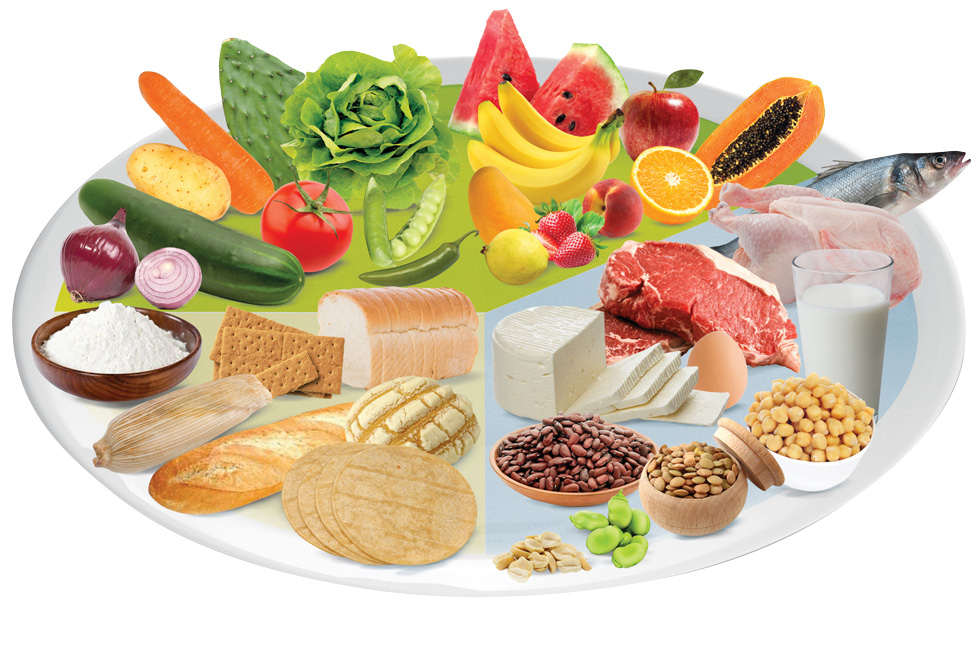 Una alimentación balanceada debe incluir los tres grupos de alimentos para asegurar la energía  y nutrimentos que necesitamos, por lo que un programa 