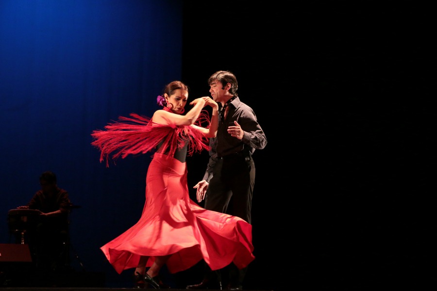  ¡Viva flamenco!