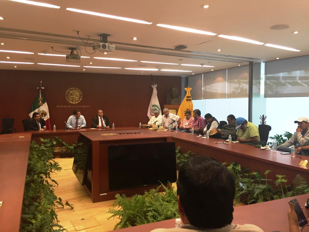 Una comisión de 15 integrantes de la CNTE se reunió con los senadores Armando Ríos Piter, Fidel Demédicis e Isidro Pedraza.