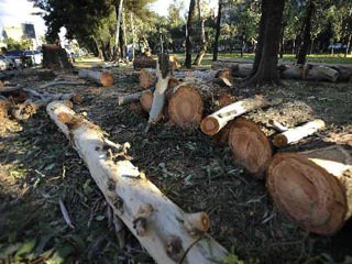 El gobierno de Zapopan ha presentado 15 denuncias por daños en áreas naturales del municipio.