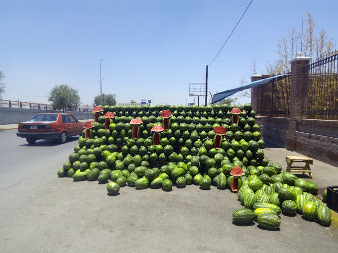 Productores de Matamoros venden sandía a Walmart.