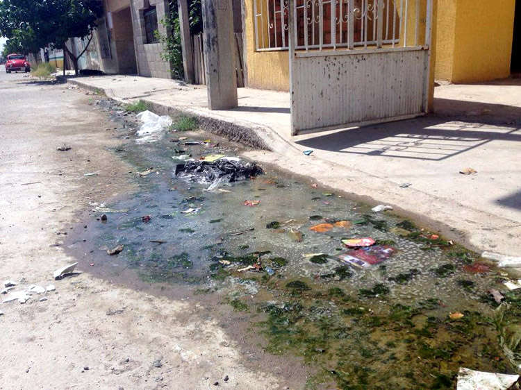 Aproximadamente cada tres meses el agua residual se asoma a la superficie.