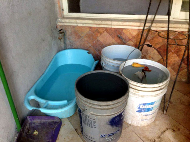 Los días que si cuentan con agua aprovechan para llenar cubetas.