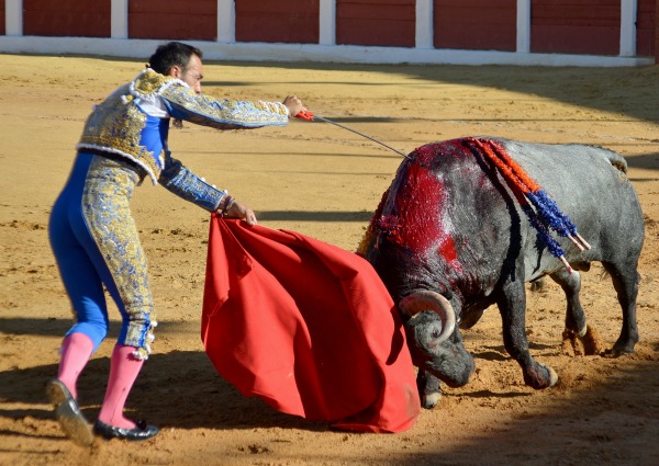 En Colombia hay unos 70 escenarios donde se desarrollan corridas de toros.