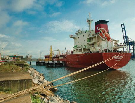 Firmas exportadoras se han beneficiado con la actual paridad.