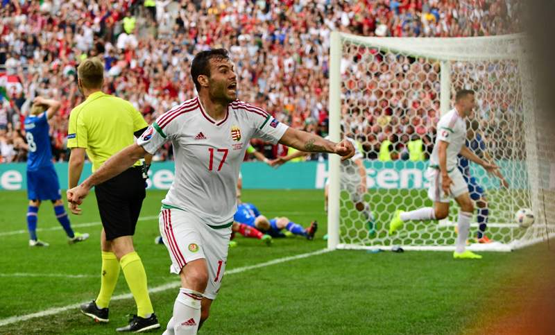 Nemanja Nikolic celebra la anotación de su equipo 
