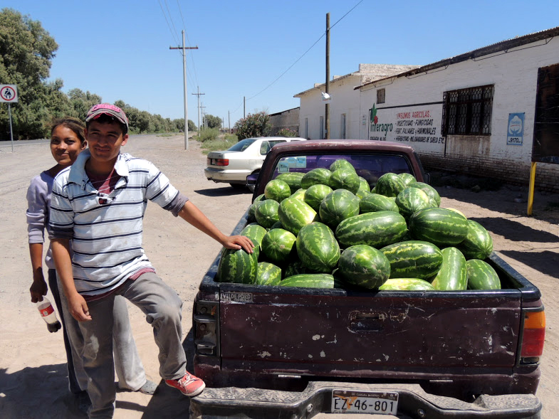Chava y otros productores consideraron, que si no tienen un buen precio tanto en el melón como en la sandía, pronto se vendrán los conflictos.