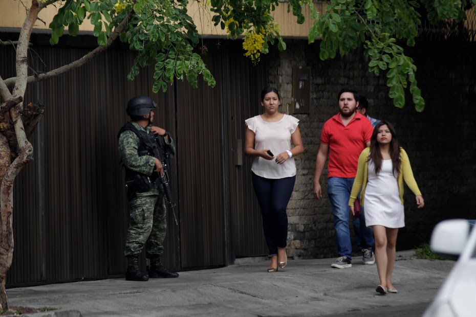 Realizan operativo militar en finca de zona Minerva 