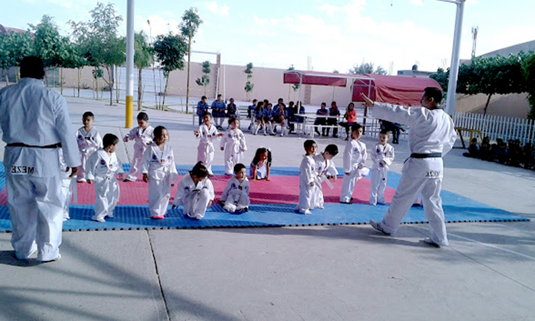 Es el segundo año en el cual se incluye esta disciplina y se ofrece como una escuela formativa en el Colegio.
