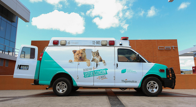 Esta unidad móvil está completamente equipada con quirófano para realizar intervenciones de esterilización