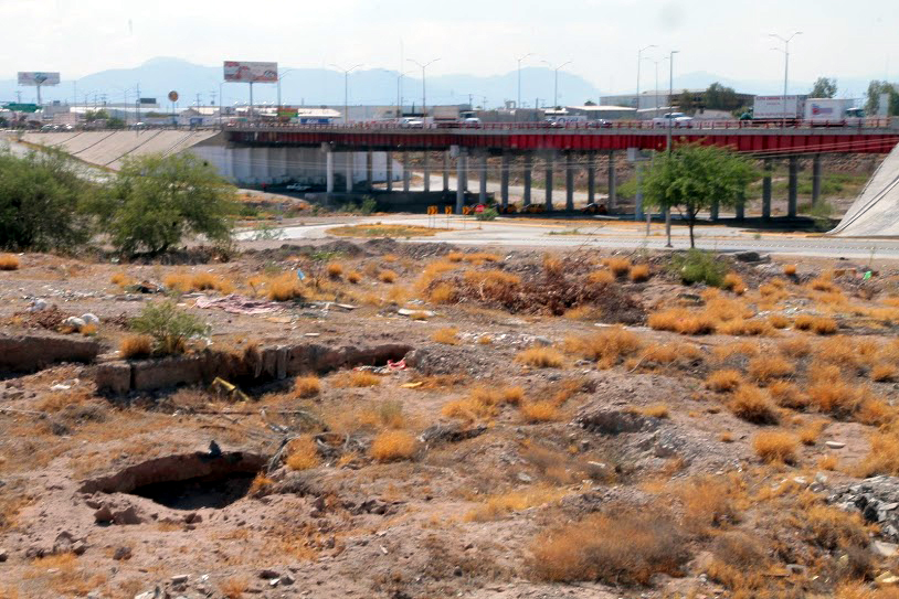 Plantarán árboles en 15 mil metros del lecho seco del río Nazas.