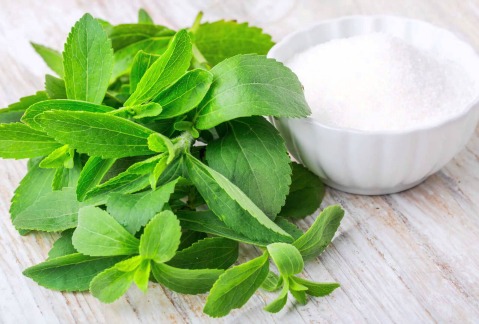 Stevia 