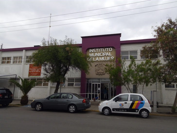 En escuelas primarias, se trabaja con el semáforo de la violencia para niños y niñas, que no es otra cosa que el violentómetro adaptado a las circunst