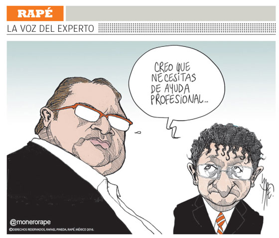 La voz del experto
