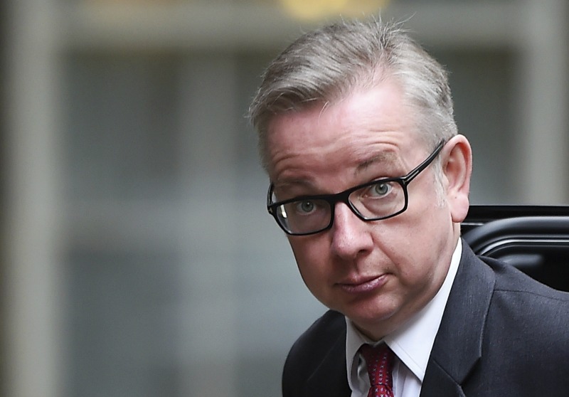 Gove fue el lugarteniente de Boris Johnson en la exitosa campaña en favor de la salida de la UE.