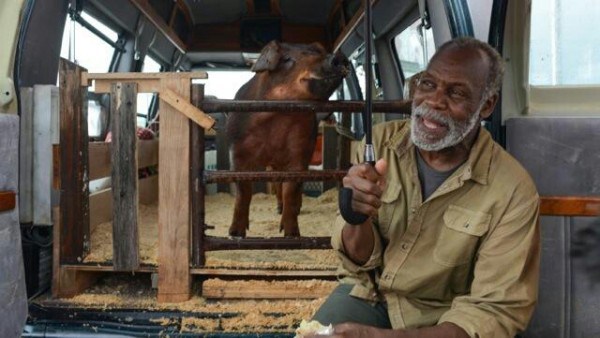 El viaje de un hombre que busca asilo para su cerdo favorito permite que Mr. Pig reflexione a fondo sobre la paternidad.