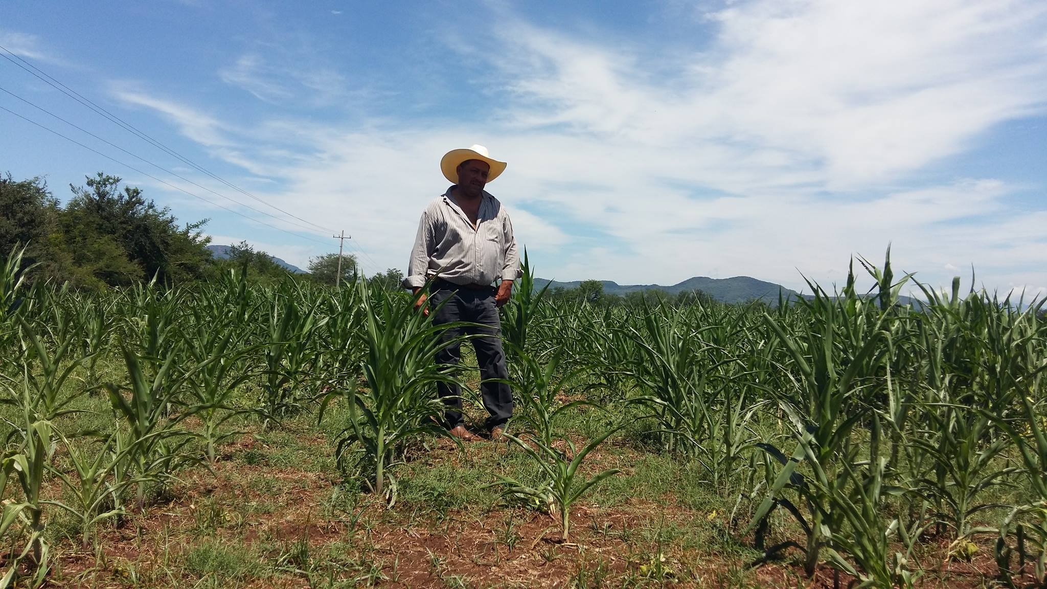 Campesinos tamaulipecos. 