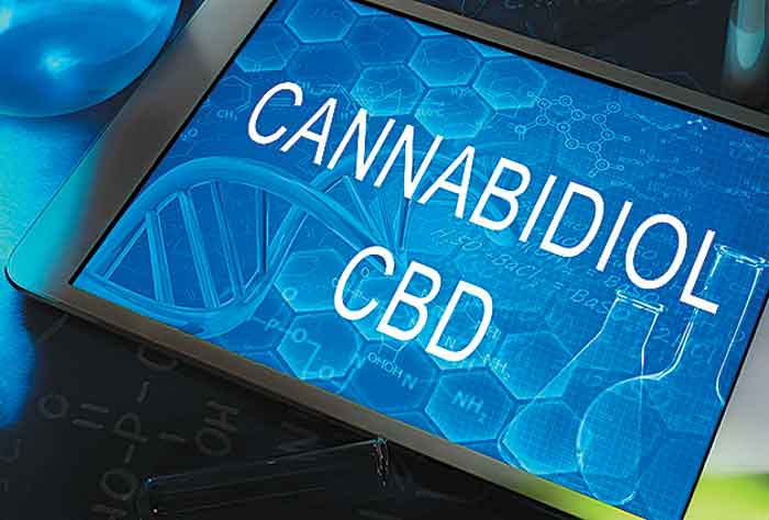 El cannabidiol es un químico que se obtiene de la mariguana.