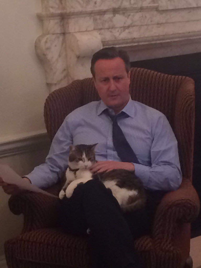 El primer ministro, David Cameron, se despidió del gato Larry.