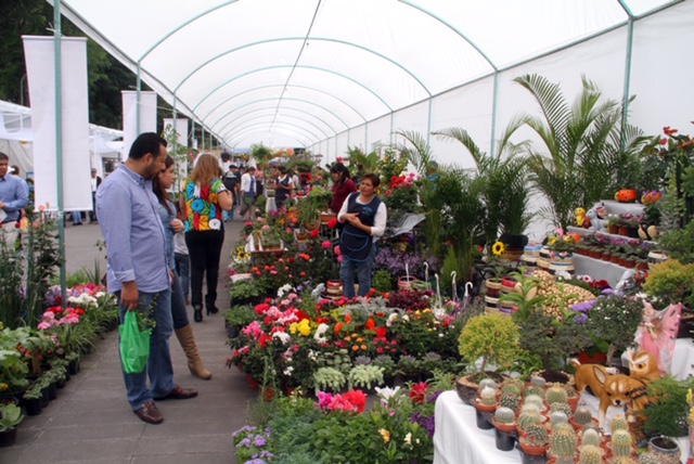 La feria tiene una agenda cultural, como el tradicional concurso de balcones, de fachadas y de arreglos florales.