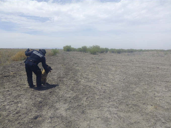La Policía Científica de la Policía Federal realizará la investigación de los restos.