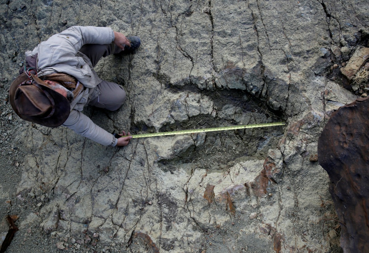 La huella pertenece a un dinosaurio de la familia de los abelisaurus, de los mayores depredadores que habitaba en Sudamérica.