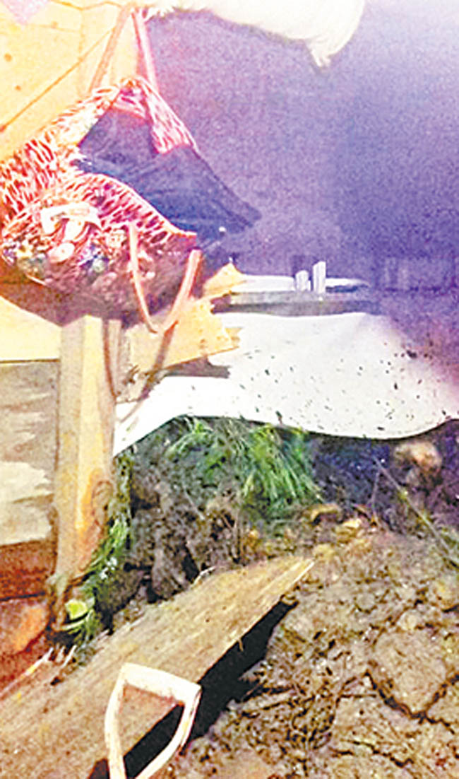 Vivienda sepultada en Guerrero. 