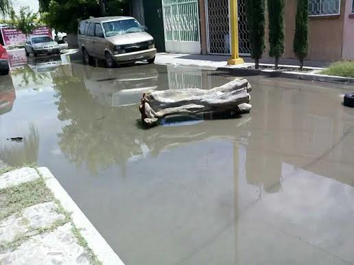 Vecinos de Hamburgo exigen se termine la obra del colector.