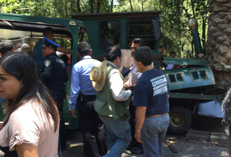 El trenecito que funciona en el Castillo de Chapultepec tuvo un choque con una palmera, por lo cual 13 personas resultaron lesionadas, ninguna de grav