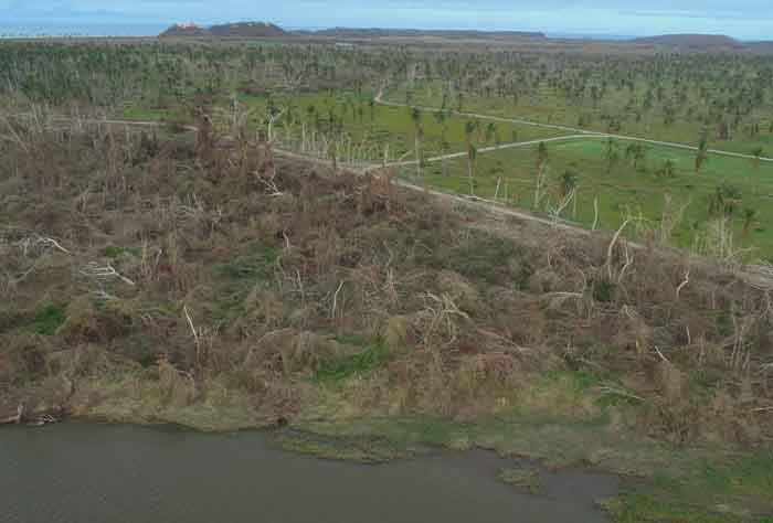 La gran masa de materia orgánica muerta dejada por 'Patricia' se convirtió en combustible orgánico