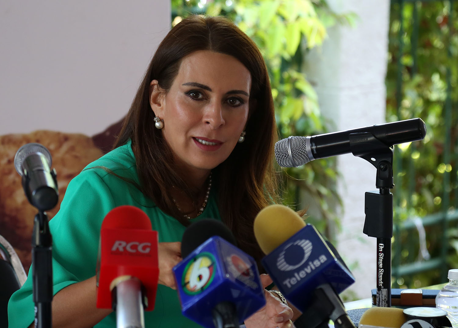 Carolina Viggiano Austria, Presidenta Honoraria del Consejo Consultivo del DIF Coahuila