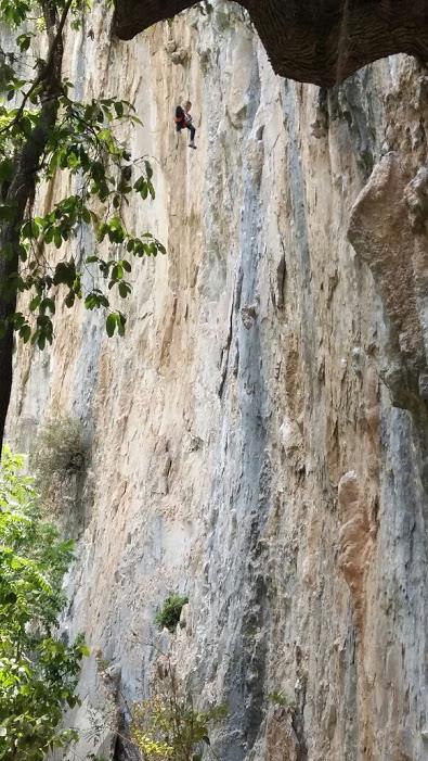 La pared rocosa mide 44 metros de largo y tiene trazos de 4 mil años de antigüedad. 