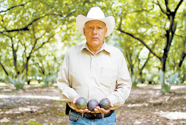 El gran volumen de producción bajó el kilo a 19 pesos, lo que apenas cubría sus costos. 