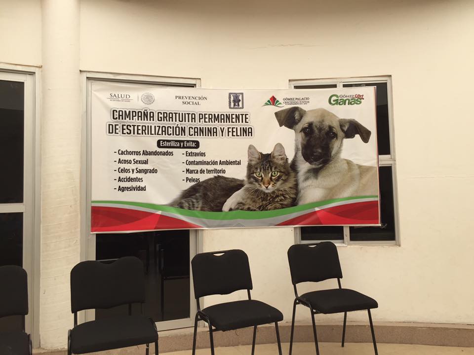 En Gómez Palacio se reanudaron las campañas de esterilización.