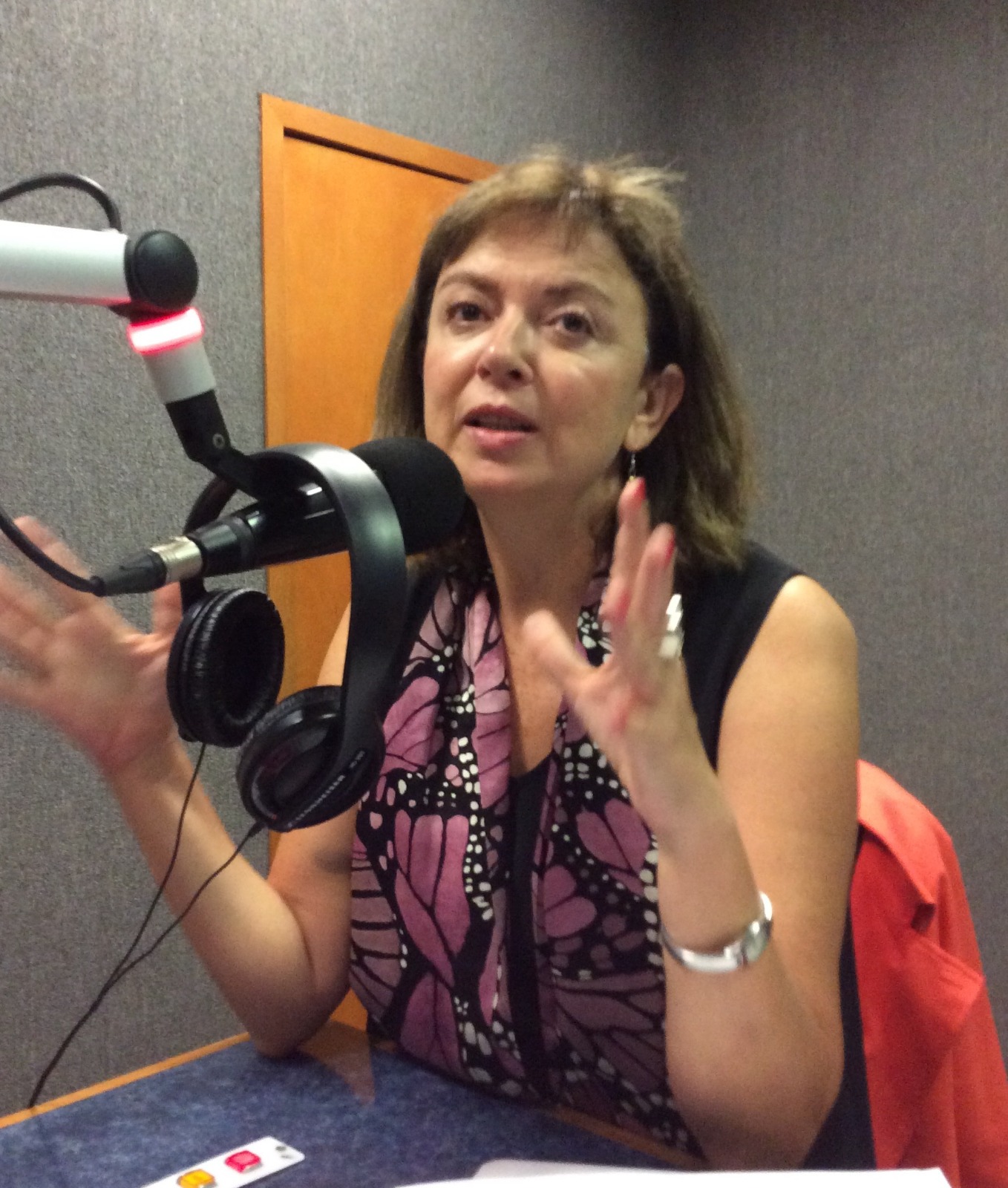 Ana Güezmes García, representante de ONU Mujeres en México