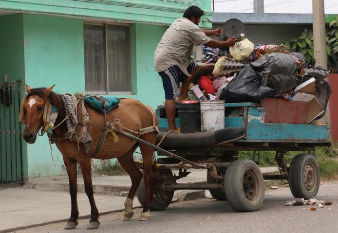 La Asociación ProAni ha pedido al Ayuntamiento de Ciudad Madero actuar contra los carretoneros.