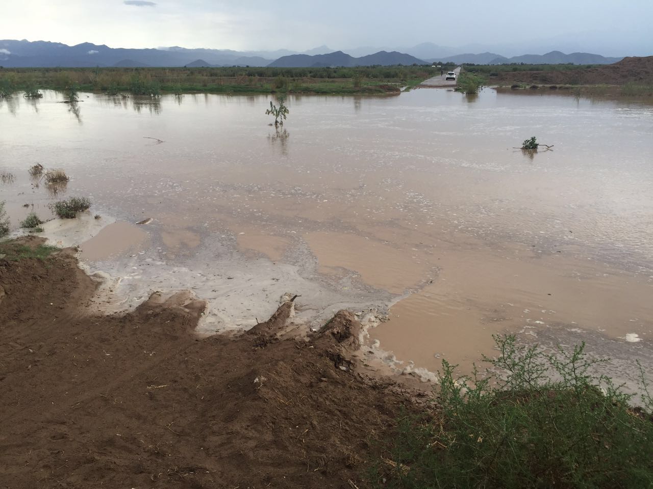 Aprovechan crecida del río Aguanaval para regar sus cosechas. 