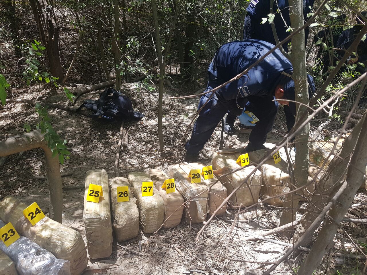 Decomiso de mariguana oculta en fosa, en Reynosa 