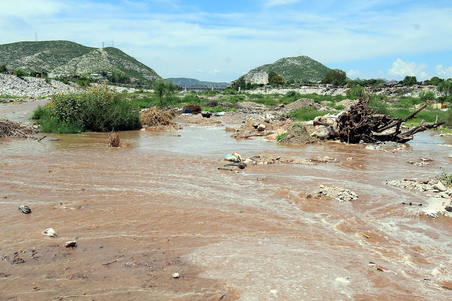 Jurisdicción Sanitaria número 6 de Torreón, estará al pendiente de los sectores más vulnerables para evitar el desarrollo de dengue en la región por l