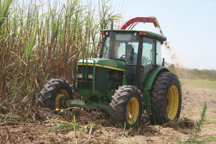Productores afirman que la siembra transgénica traería múltiples beneficios al país.