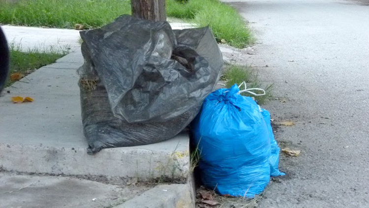En la colonia Mayagoitia, donde los vecinos saben que la basura no pasa los lunes, hay bolsas de basura en las esquinas.