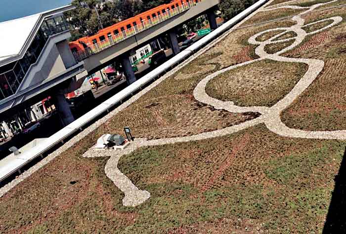 En los inmuebles colocan diseños con diversas plantas.